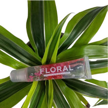 Load image into Gallery viewer, Floral Lip Gloss
